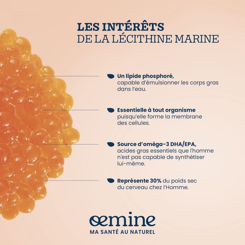 lécithine marine